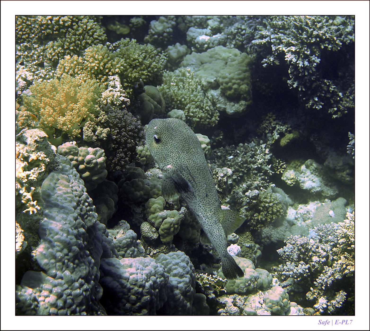 Hurghada - Juillet 2021 - 067